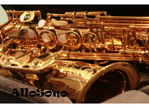 Selmer Reference 54 Alto (57264)