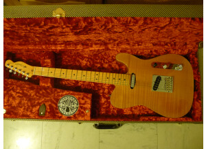 Fender Select Carved Maple Top Telecaster - Amber