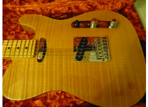 Fender Select Carved Maple Top Telecaster - Amber