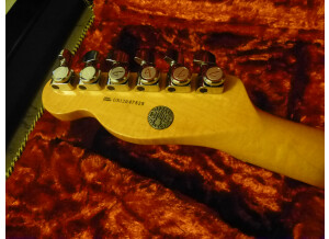 Fender Select Carved Maple Top Telecaster - Amber