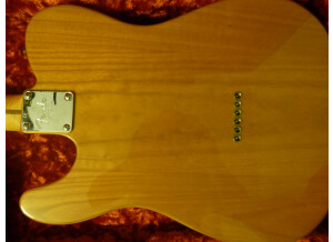 Fender Select Carved Maple Top Telecaster - Amber