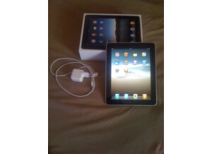 Apple iPad (74203)