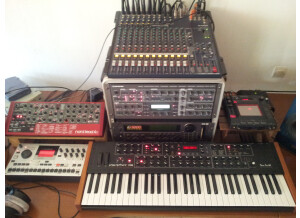 Dave Smith Instruments Prophet ?08 Pot Edition (80065)