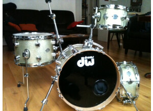 DW Drums Mini Pro