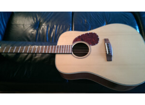 Cort Earth 100 - Natural