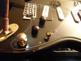Fender Custom Shop Texas Special Stratocaster Pickup Set