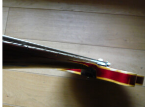 Gibson EB-2D (79711)