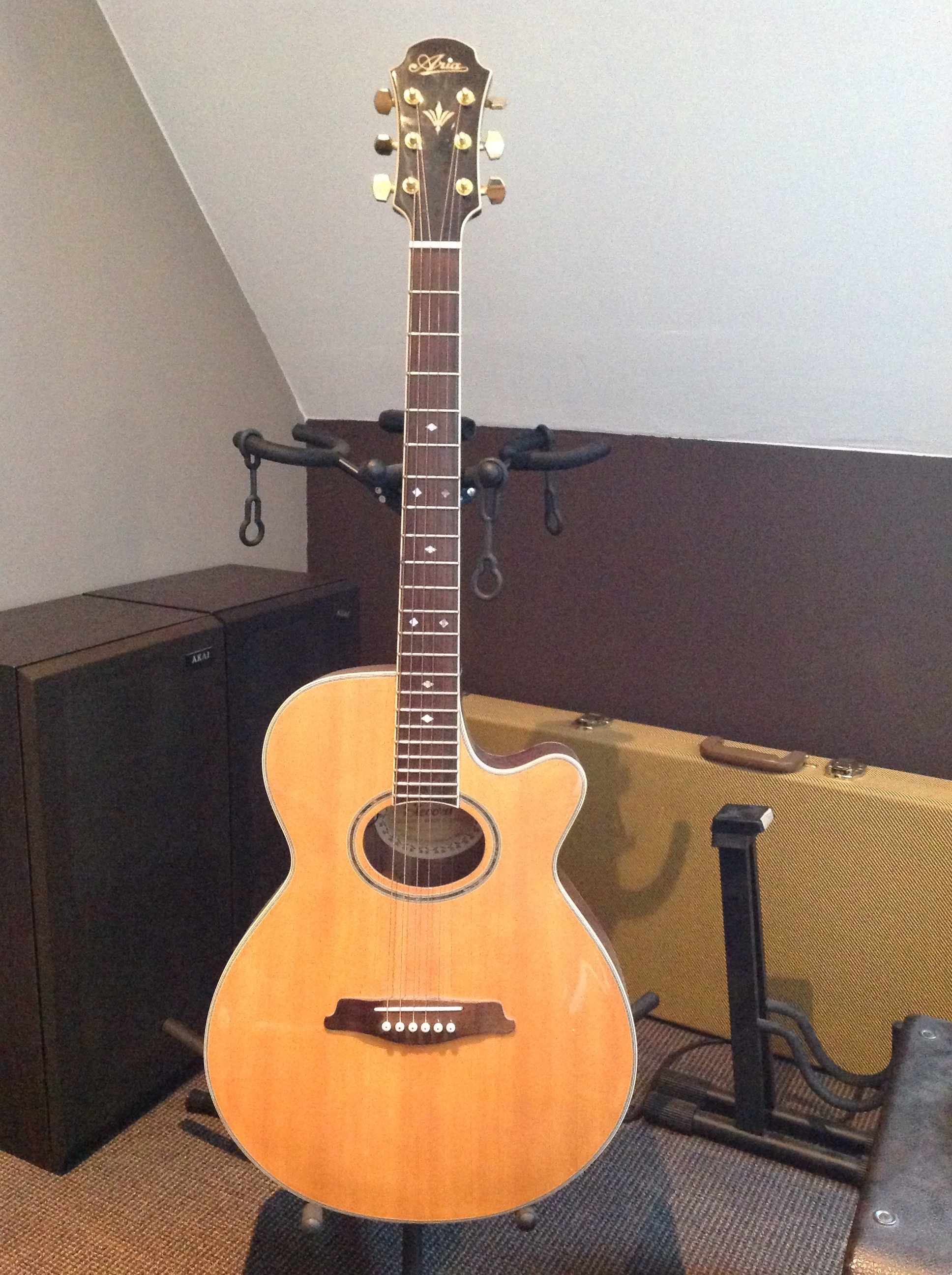 takamine es44c