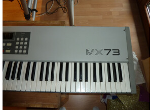 Akai MX73 (40728)