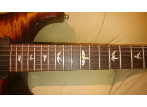 PRS 513 Maple Top - Black Gold (47198)