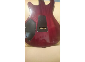 PRS 513 Maple Top - Black Gold (17441)