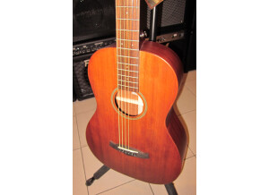 Tanglewood TW133 (10336)
