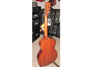 Tanglewood TW133 (10548)