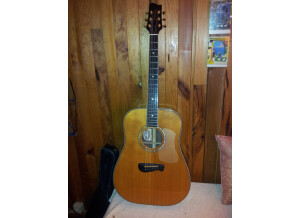 Tacoma Guitars DR28 (97487)