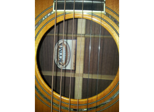 Tacoma Guitars DR28 (67196)