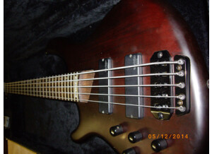 Cort Guitare basse gaucher 5 cordes active
