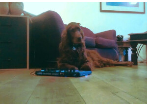 Mistabishi e2 sampler Studio bear 2