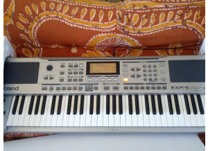 Roland EXR-5 (31828)