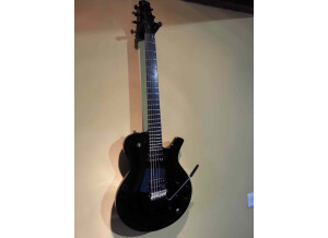 Parker Guitars PM24V