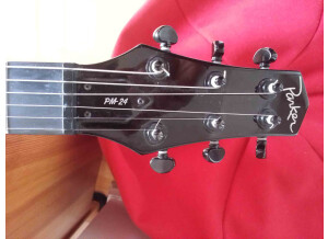 Parker Guitars PM-24V