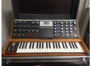 Moog Music Minimoog Voyager Performer Edition (34582)