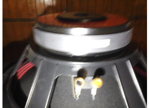 Cerwin Vega CVP-2153 (56732)