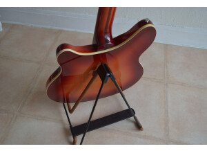 Rickenbacker 360 - Fireglo (55882)