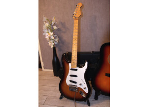 Schecter Stratocaster USA (24875)