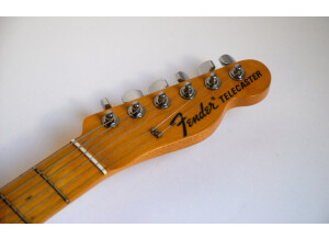 Fender Thinline Telecaster '69 Reissue Japan