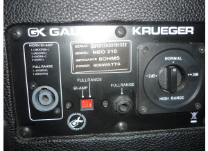 Gallien Krueger Neo 210 (10000)