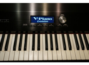 Roland V-Piano (87009)