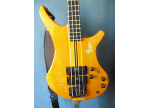 Vigier Passion III (63952)