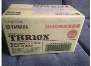Yamaha THR10X (9146)
