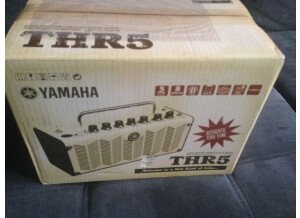 Yamaha THR5 (72012)
