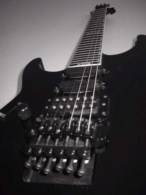 ESP Mirage Custom