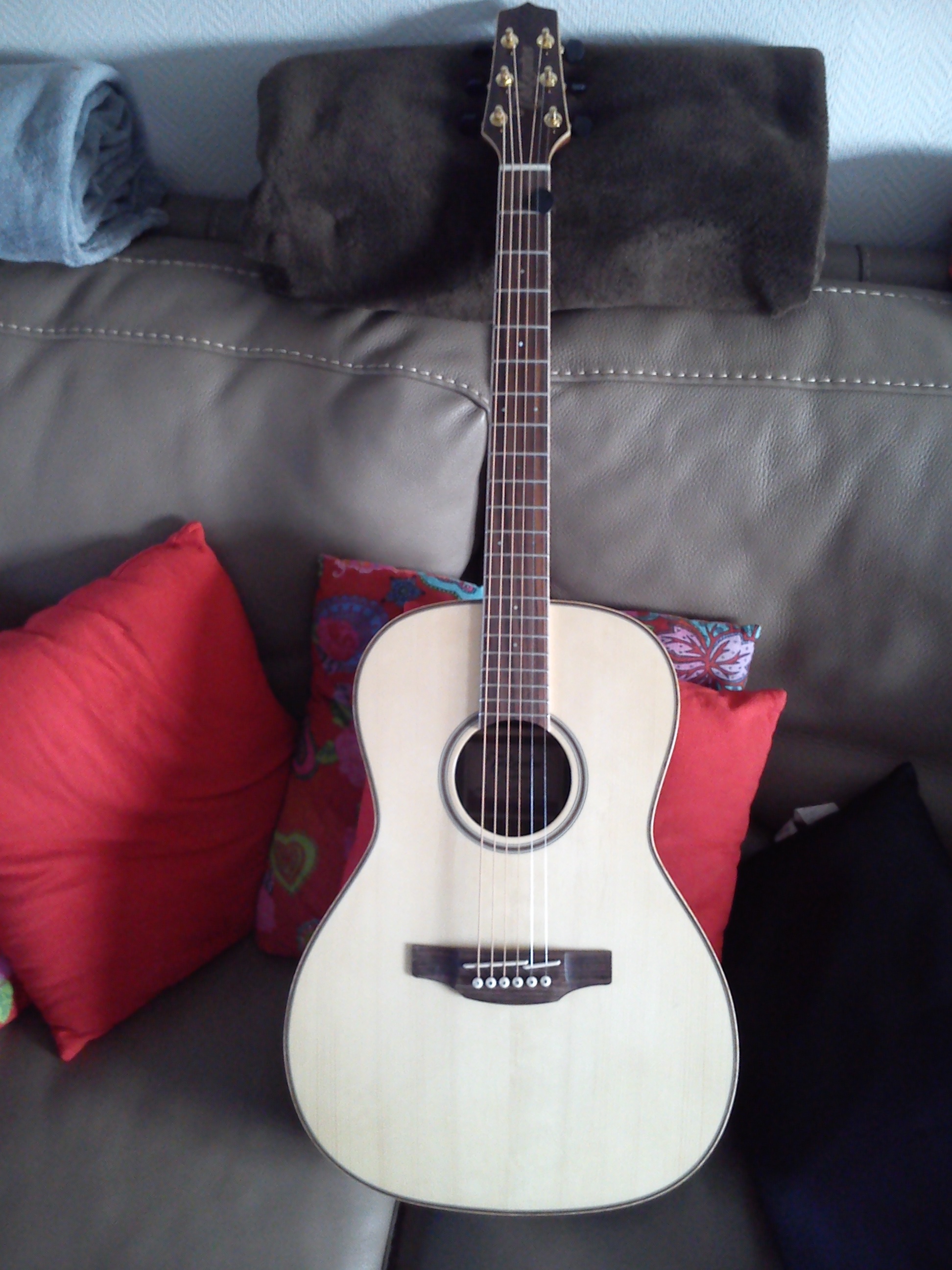 Takamine GY93
