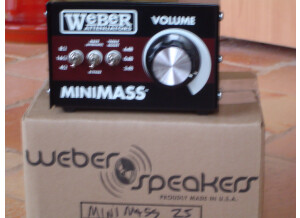 Weber Mini Mass 25W (95462)