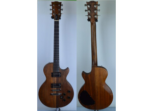 Gibson The Paul (97983)