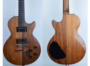Gibson The Paul (27018)