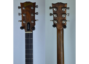 Gibson The Paul (80634)
