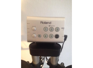 Roland HD-1 (52291)