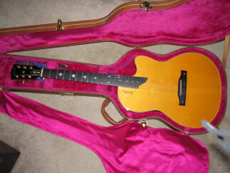 Gibson Chet Atkins SST