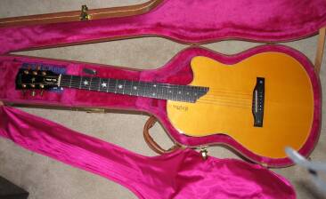 Gibson Chet Atkins SST