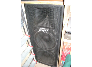 Peavey PV 215 (74648)