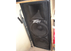 Peavey PV 215 (8950)