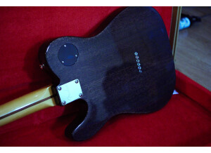 Fender Modern Player Telecaster Thinline Deluxe - Black Transparent Maple