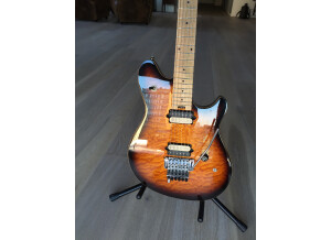 Peavey Wolfgang Special (68456)