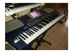 Korg Pa500 (29228)
