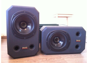 Tannoy System 800 (86857)