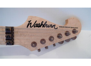 Washburn N5 (9976)